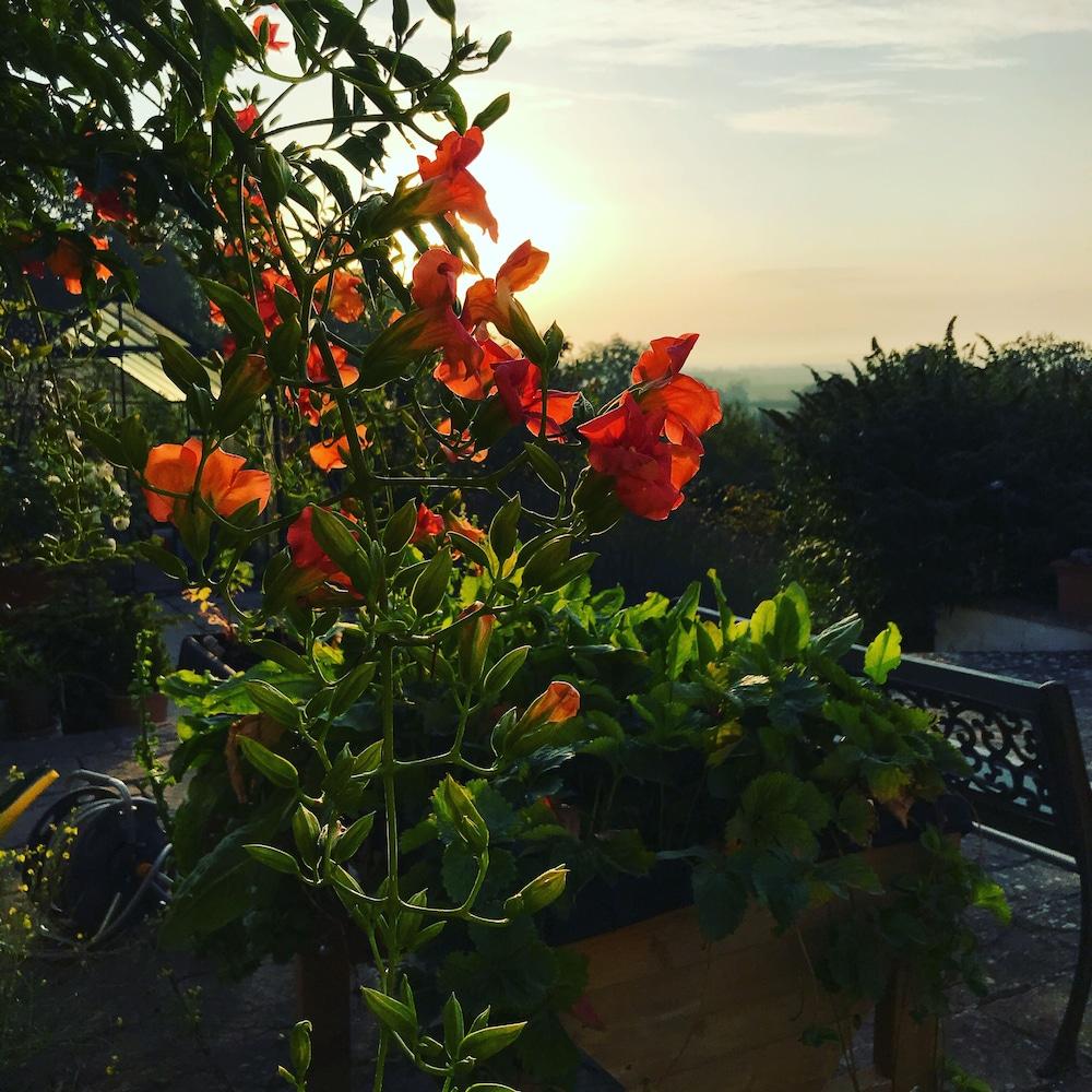 Shakespeare'S View Hotel Stratford-upon-Avon Bagian luar foto