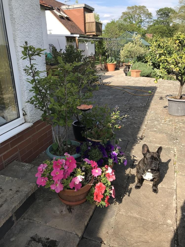 Shakespeare'S View Hotel Stratford-upon-Avon Bagian luar foto