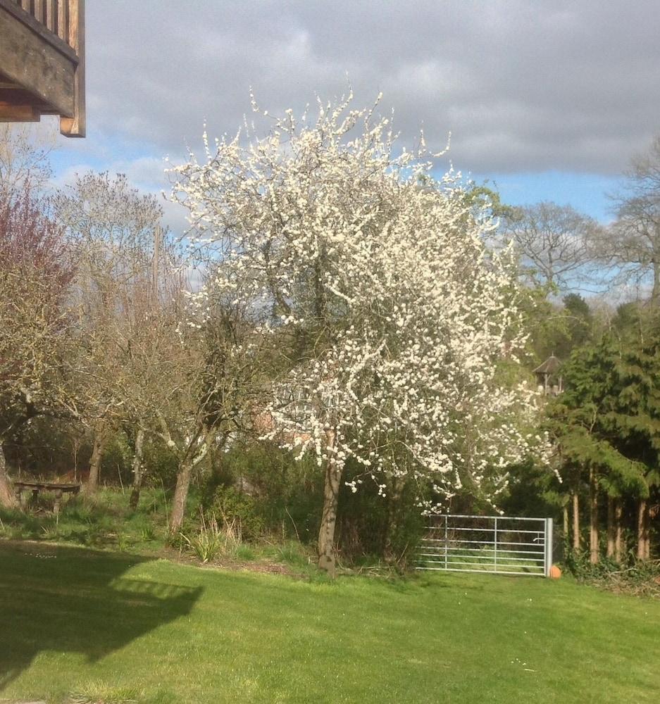 Shakespeare'S View Hotel Stratford-upon-Avon Bagian luar foto